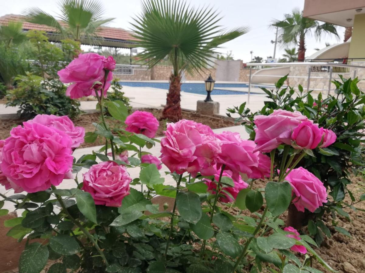 Esmeralda Butik Hotel Kızılot Εξωτερικό φωτογραφία